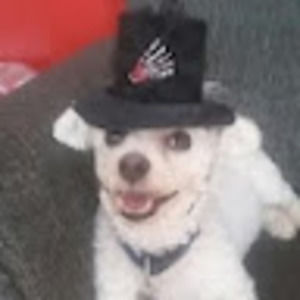 Meet your Posher, Scott